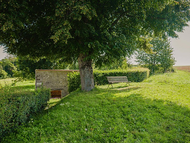 Walk in Féricy