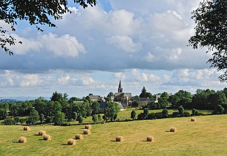 Vue sur le village de Condom-d'Aubrac