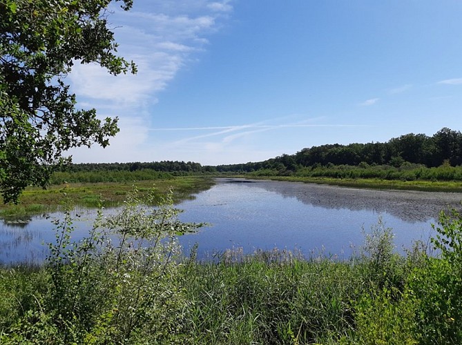 VTY-etang_morches-20200719_06©FR-OTI