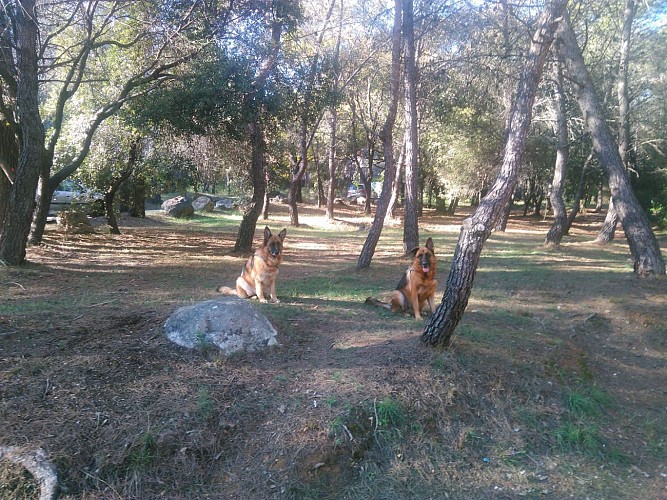 Les filles sont prêtes