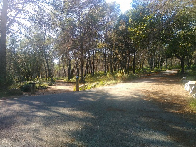 Entre piste et goudron