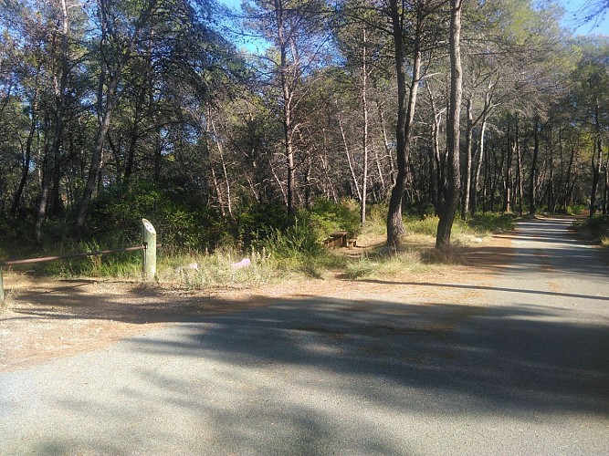 Toujours ce choix délicat