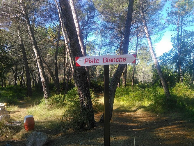 Elle est même très verte