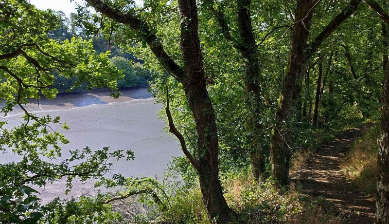 Sentier sur la rive de la Penzé