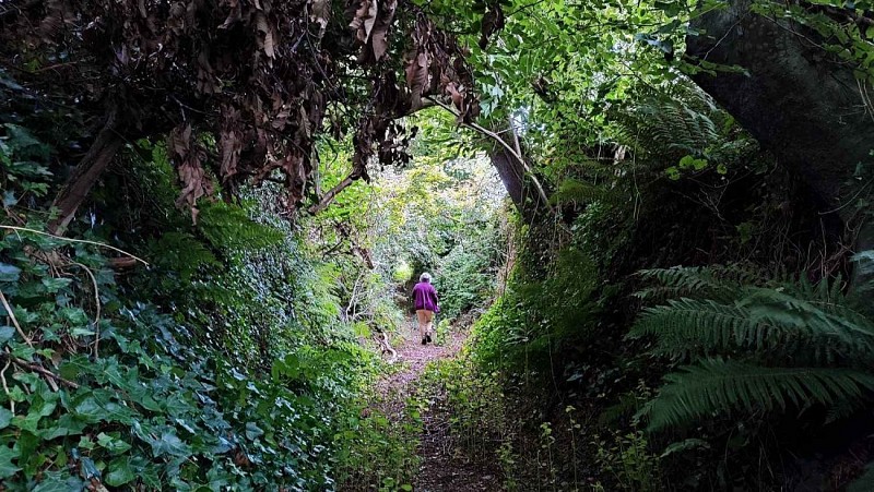 Les chemins creux de Penzé