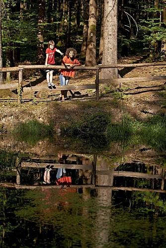 Circuit rando C35 : Les etangs de Salm et la basse Madeleine