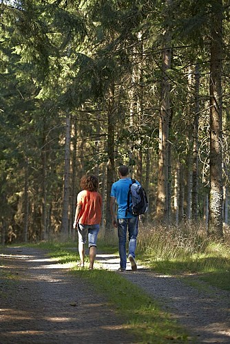 Hiking trail B24 : From-Muhlbach-to-Guirbaden-Castle