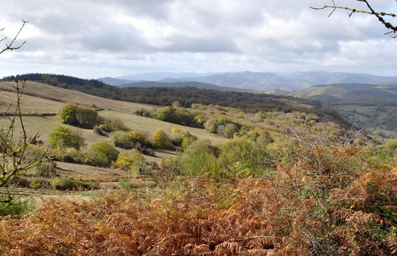 Vue à l'OUEST - le massif de l'Espinouse