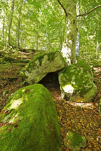 Circuit Trail N°01 : Roche Druidique