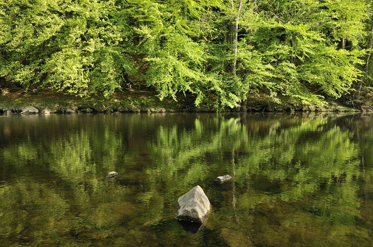 Circuit Trail N°02 : Les Gorges du Lignon