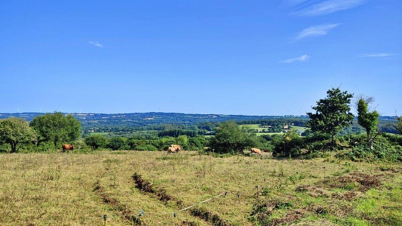 Louargat - Points de vue et panoramas