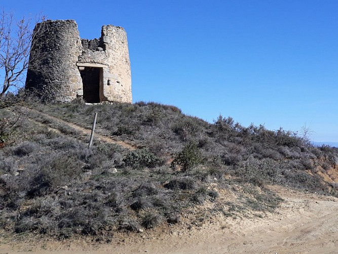 Circuit du Vignoble de la Vallée du Cougaing