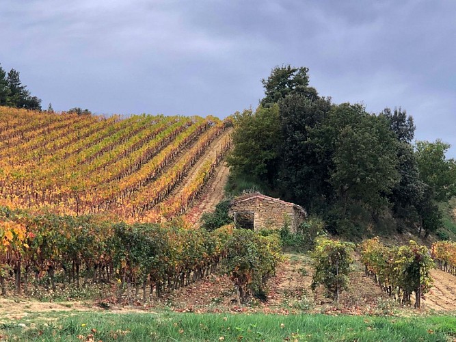 LA BOUCLE DE CASTELRENG