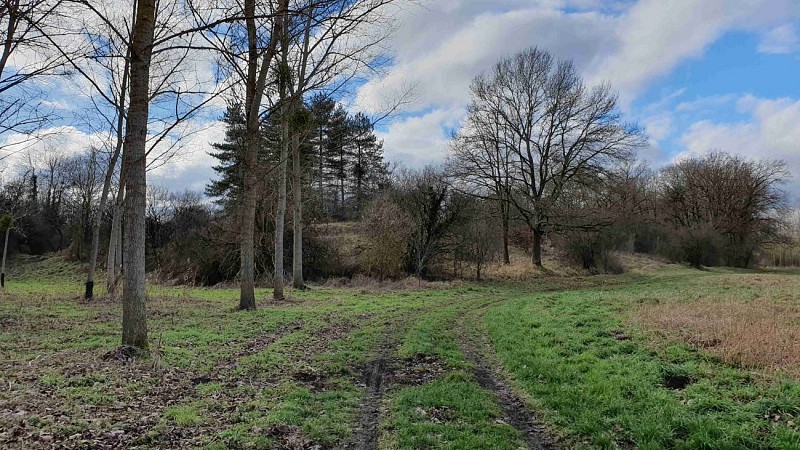 Marais et petits monts