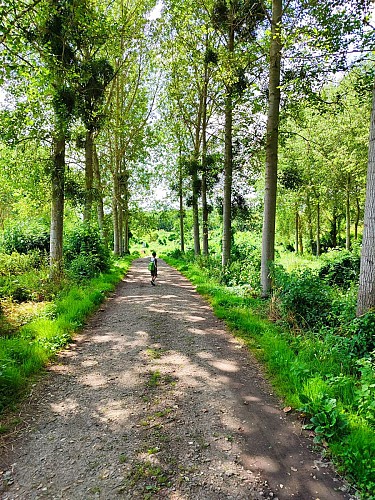 Marais et petits monts