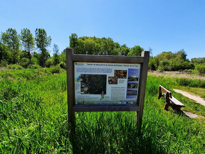 Marais et petits monts