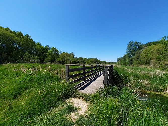 Marais et petits monts