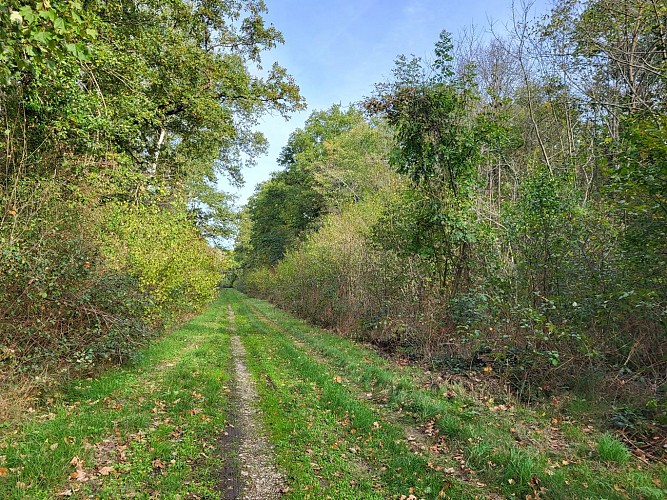 Marais et petits monts