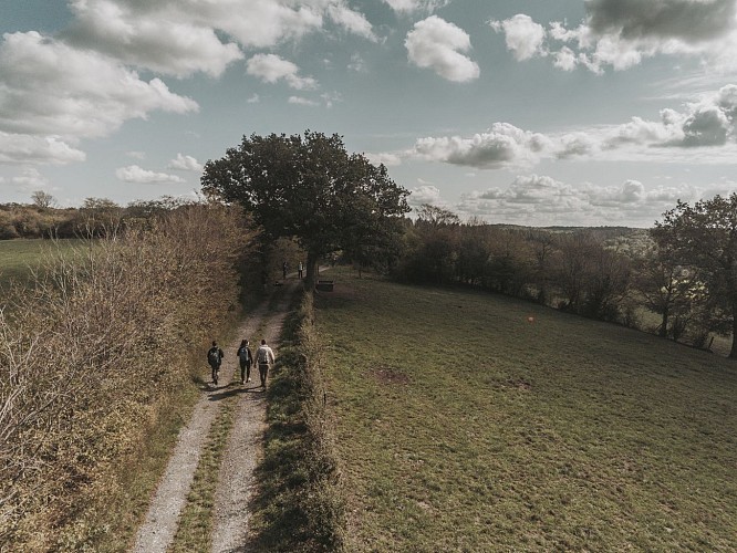 Entre forêts et bocages