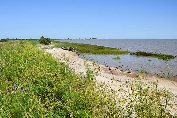 Boucle de l'Estuaire © medoc-atlantique-tourisme