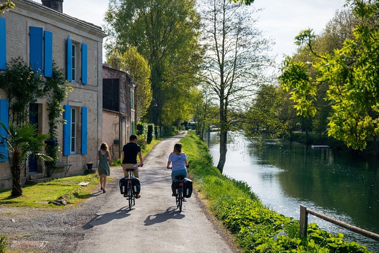 VP-Coulon à vélo-4