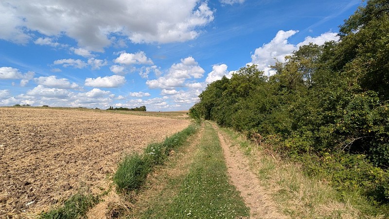 Chemin de randonnée