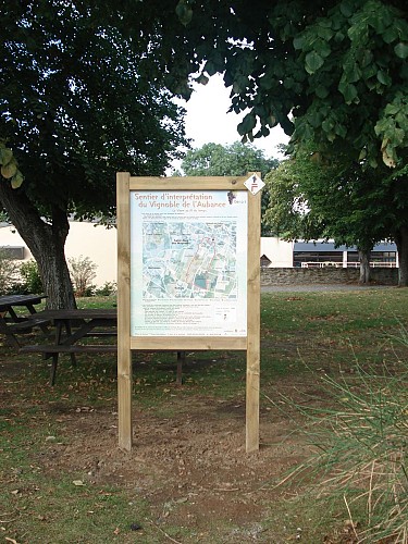 Sentier d'interprétation du vignoble de l'Aubance "La vigne au fil du temps"