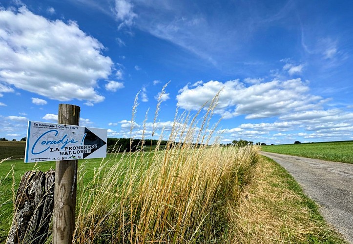 Libramont_promenade_coradje©MTFSH-TEXTO_Pascal_Willems_(104)