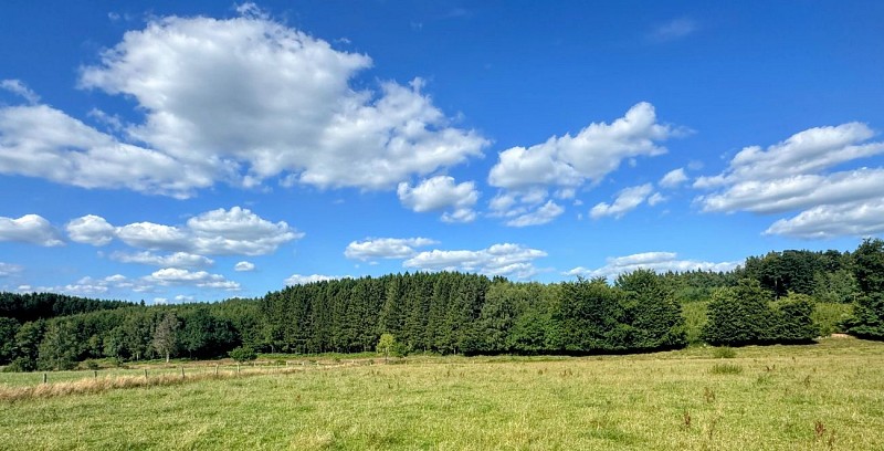 Libramont_promenade_coradje©MTFSH-TEXTO_Pascal_Willems_(136)