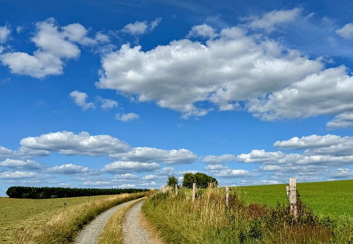 Libramont_promenade_coradje©MTFSH-TEXTO_Pascal_Willems_(36)