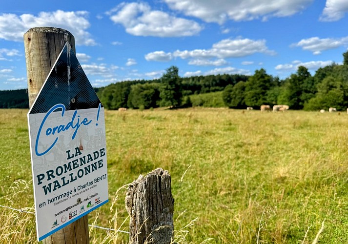 Libramont_promenade_coradje©MTFSH-TEXTO_Pascal_Willems_(124)