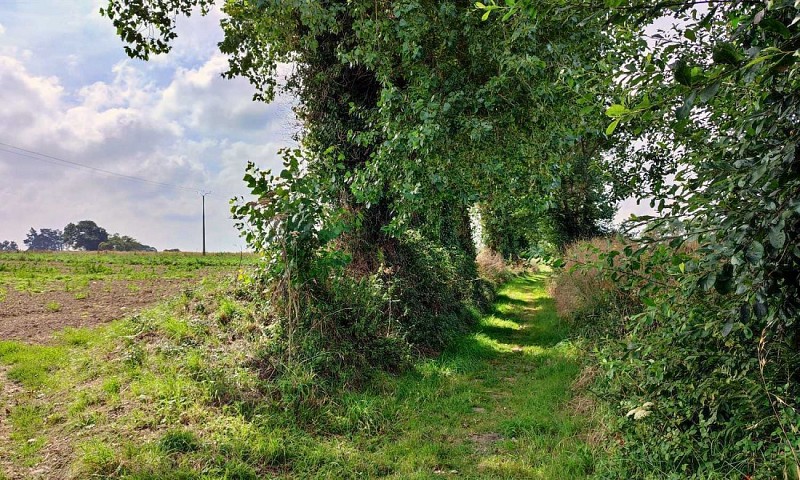 Chemin varié - Randonnée Pleubian