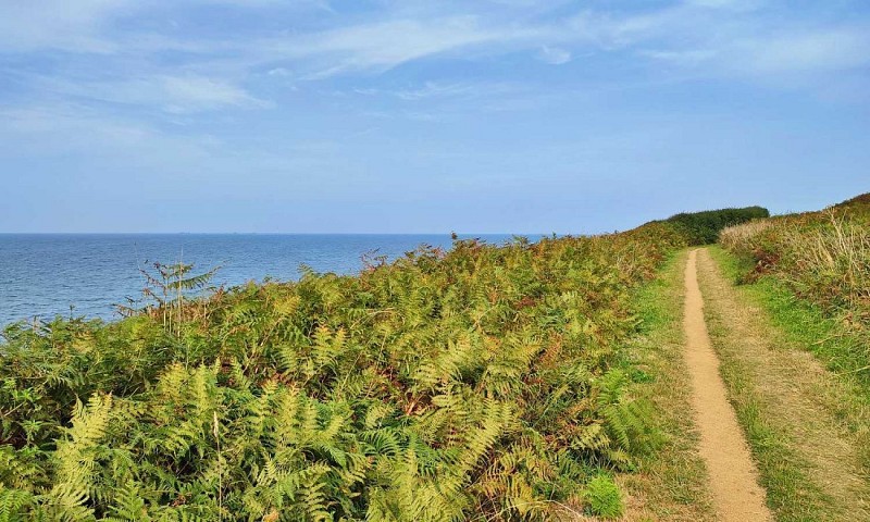 Sur le GR34® - Chemin côtier Pleubian