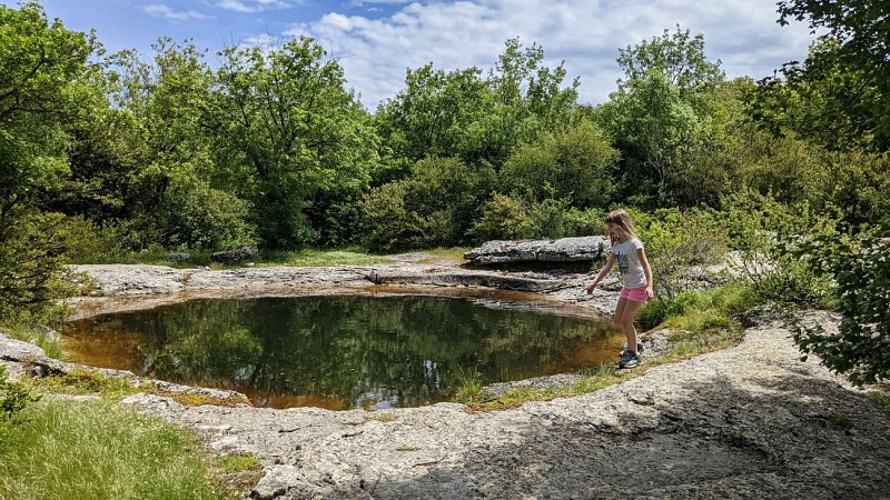 seranne pontel 9 @ Gilles Delerue