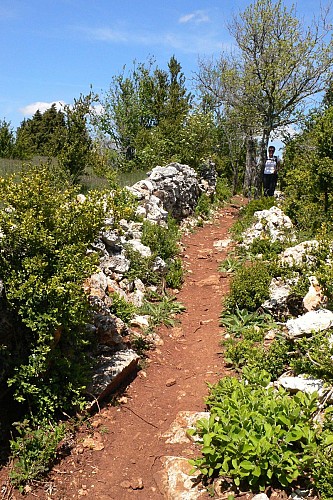 Rando du Sud Larzac0012 @CDRP34