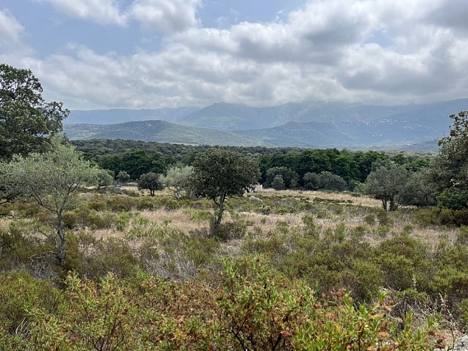 1 - Boucle de Reginu