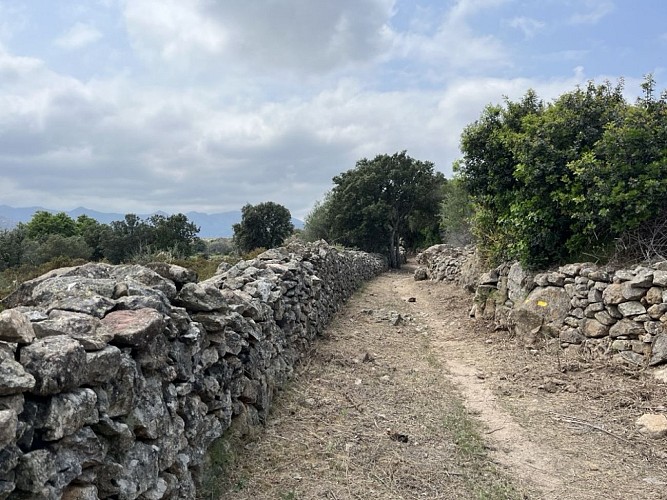 1 - Boucle de Reginu