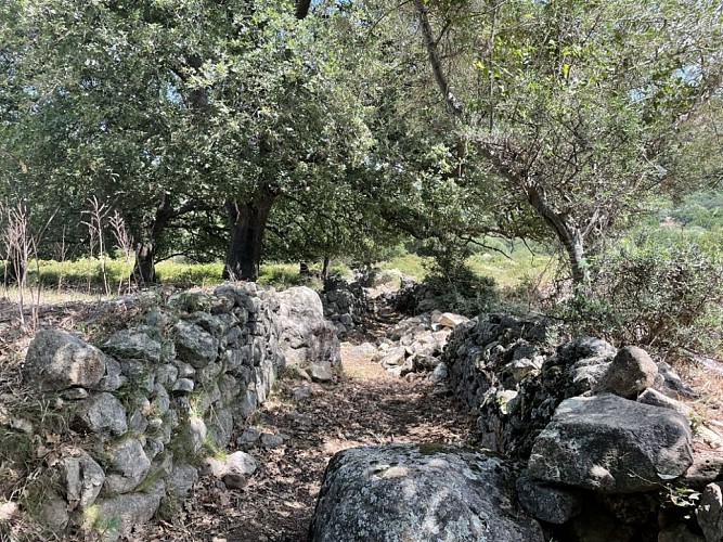 1 - Boucle de Reginu