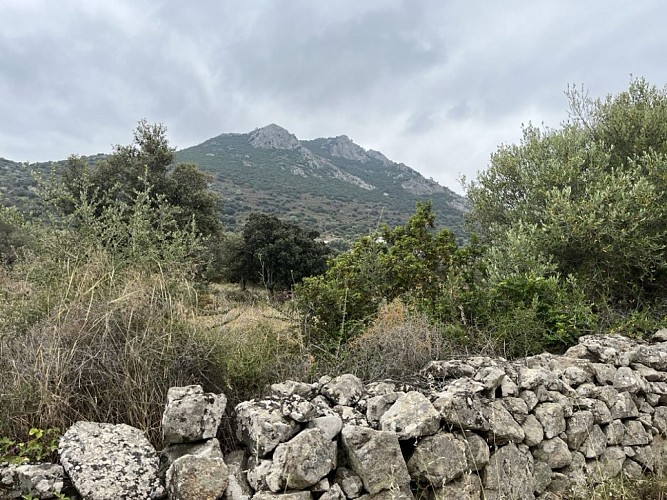 2 - Boucle de Losari