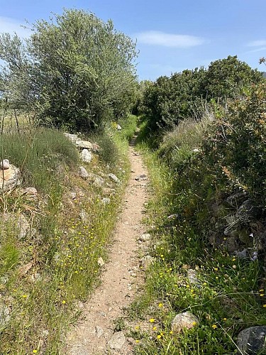 2 - Boucle de Losari