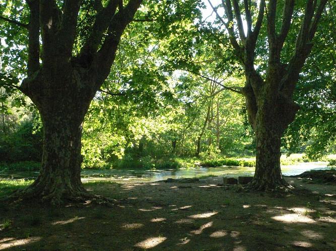 RANDONNEE DU BOIS DE SAINT SAUVEUR