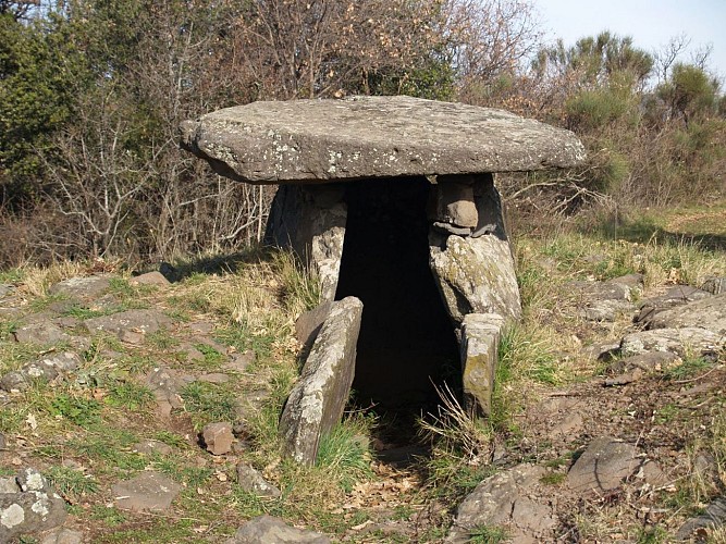 Dolmen 1.Photo CDRP.