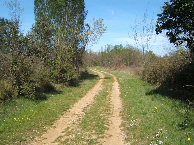 Oenorando des coteaux de St-Christol0009 ©CDRP34