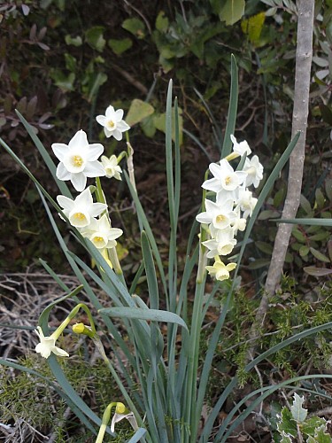 RANDONNEE DE L'ARNEDE A CARAVETTE