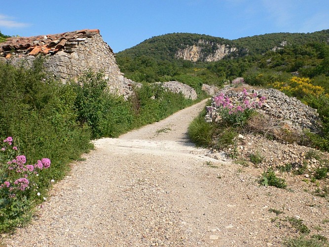 RANDONNÉE DU LIVRE DU LODÉVOIS