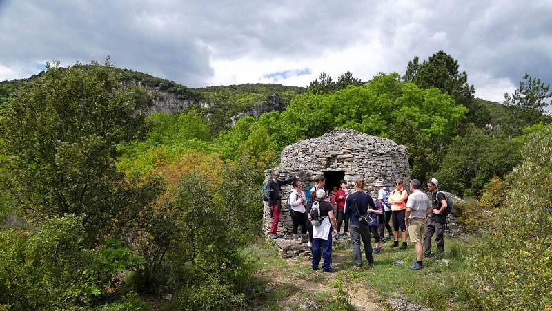 RANDONNÉE DU PLATEAU DU GRÉZAC