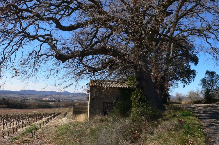 RANDONNEE DES FONTAINES ET DES LAVOIRS