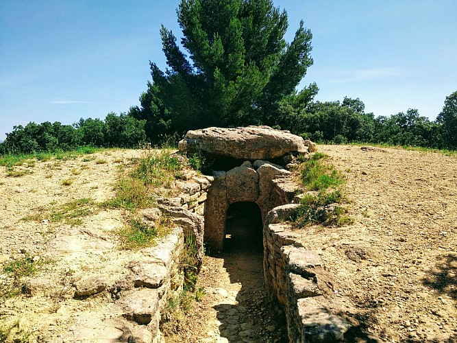 RANDONNE DU DOLMEN ET DU FOSSE DES YEUX