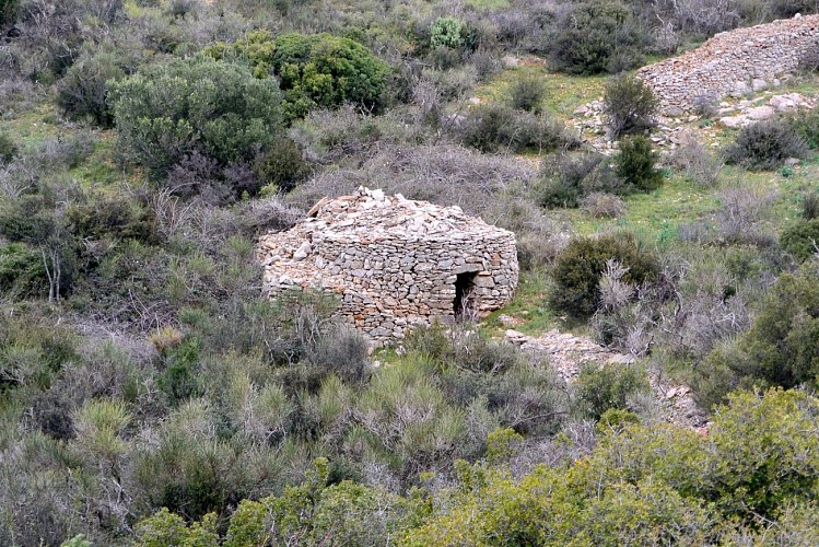 RANDONNEE DES BALCONS VOLCANIQUES