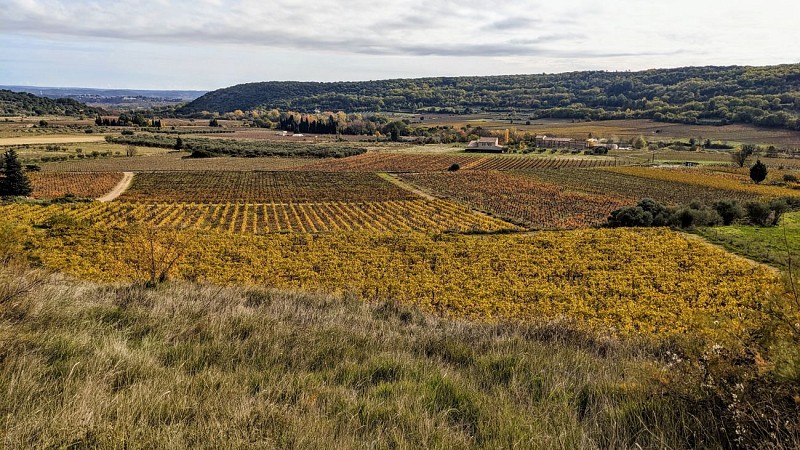 RANDONNEE DU SENTIER DES GARRIGUES